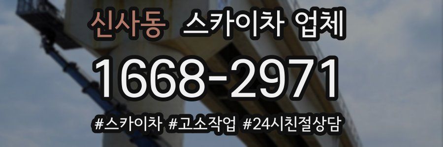 신사동 스카이차 업체
