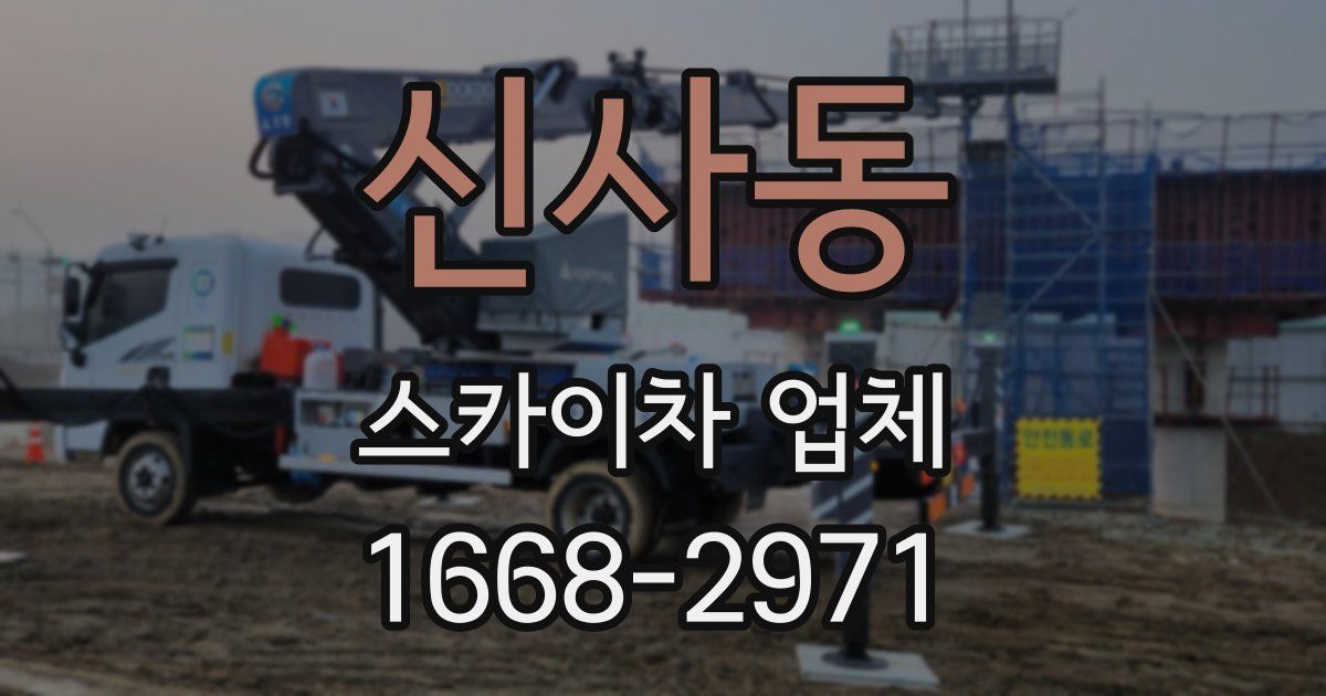 신사동 스카이차 업체