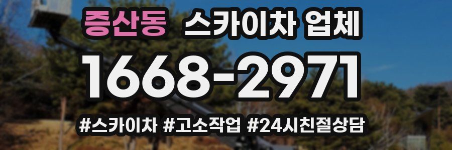 증산동 스카이차 업체