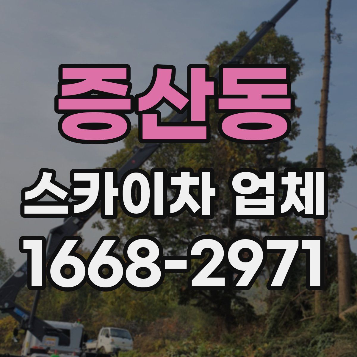 증산동 스카이차 업체