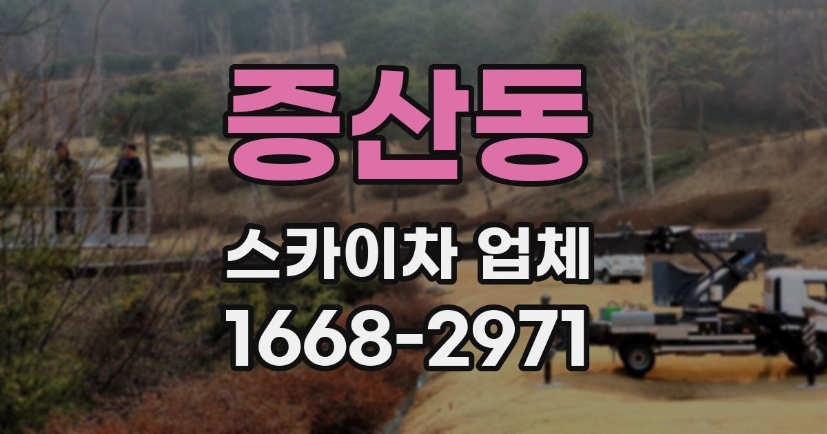 증산동 스카이차 업체