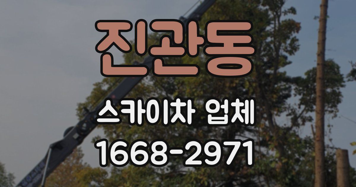 진관동 스카이차 업체