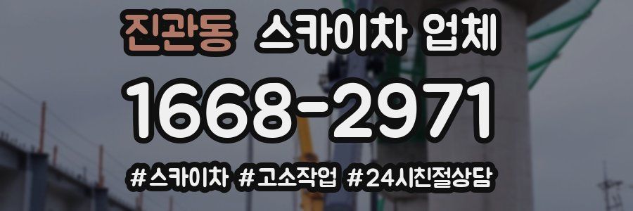 진관동 스카이차 업체