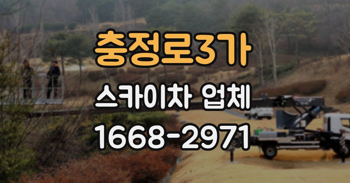 충정로3가 스카이차 업체