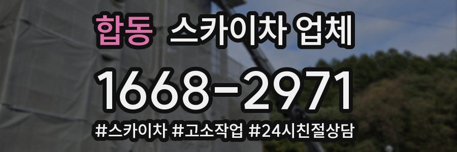 합동 스카이차 업체