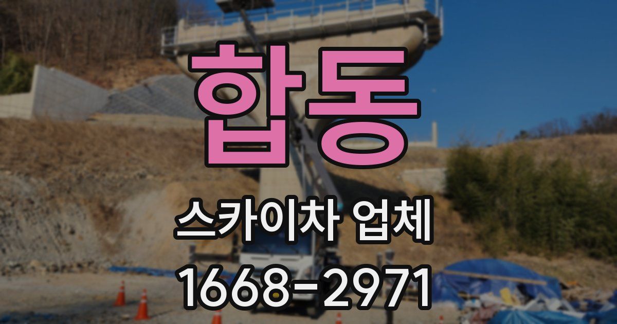 합동 스카이차 업체