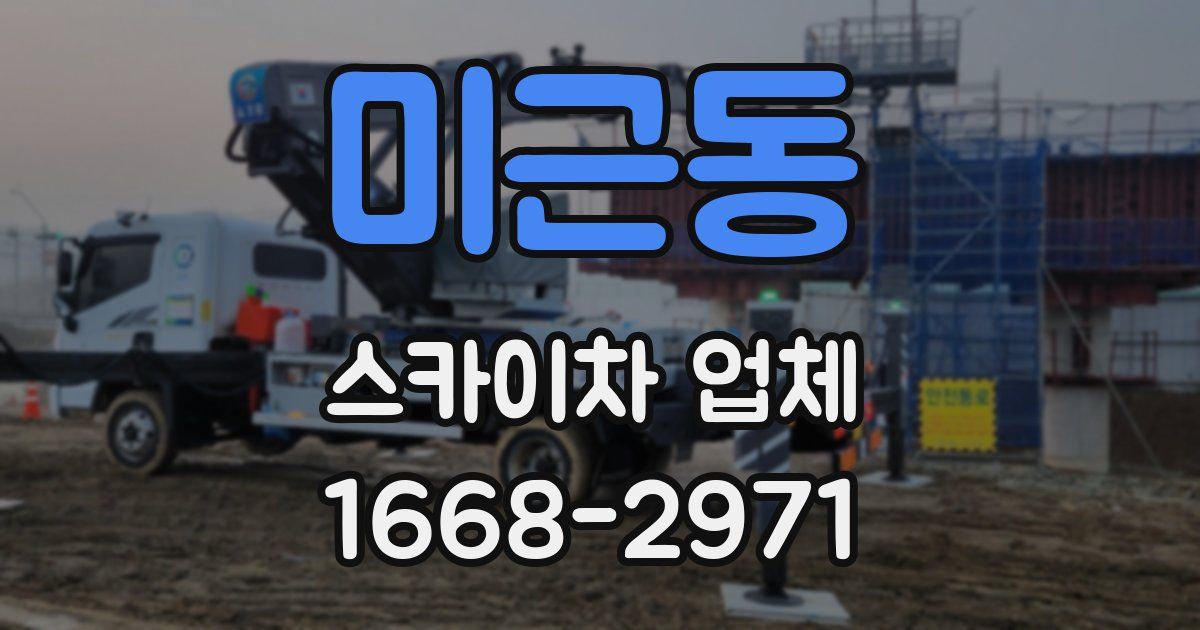 미근동 스카이차 업체