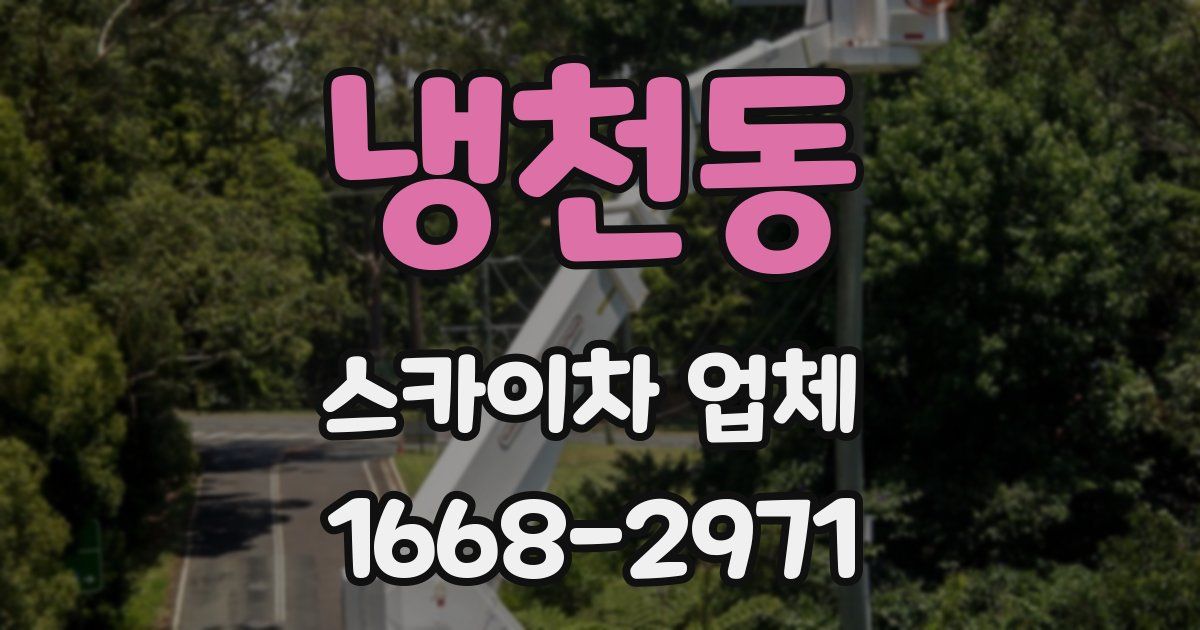 냉천동 스카이차 업체