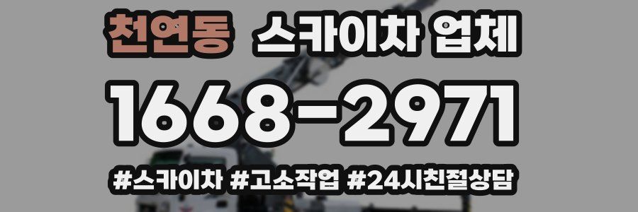 천연동 스카이차 업체
