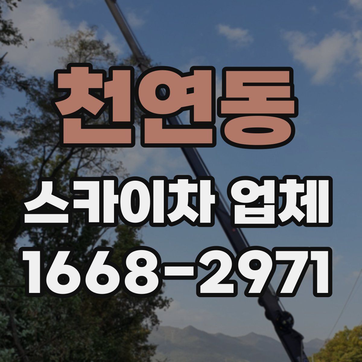 천연동 스카이차 업체