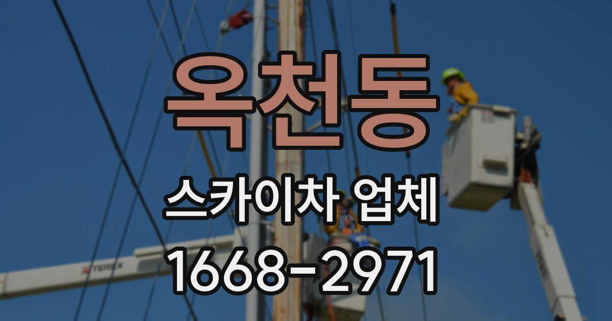 옥천동 스카이차 업체