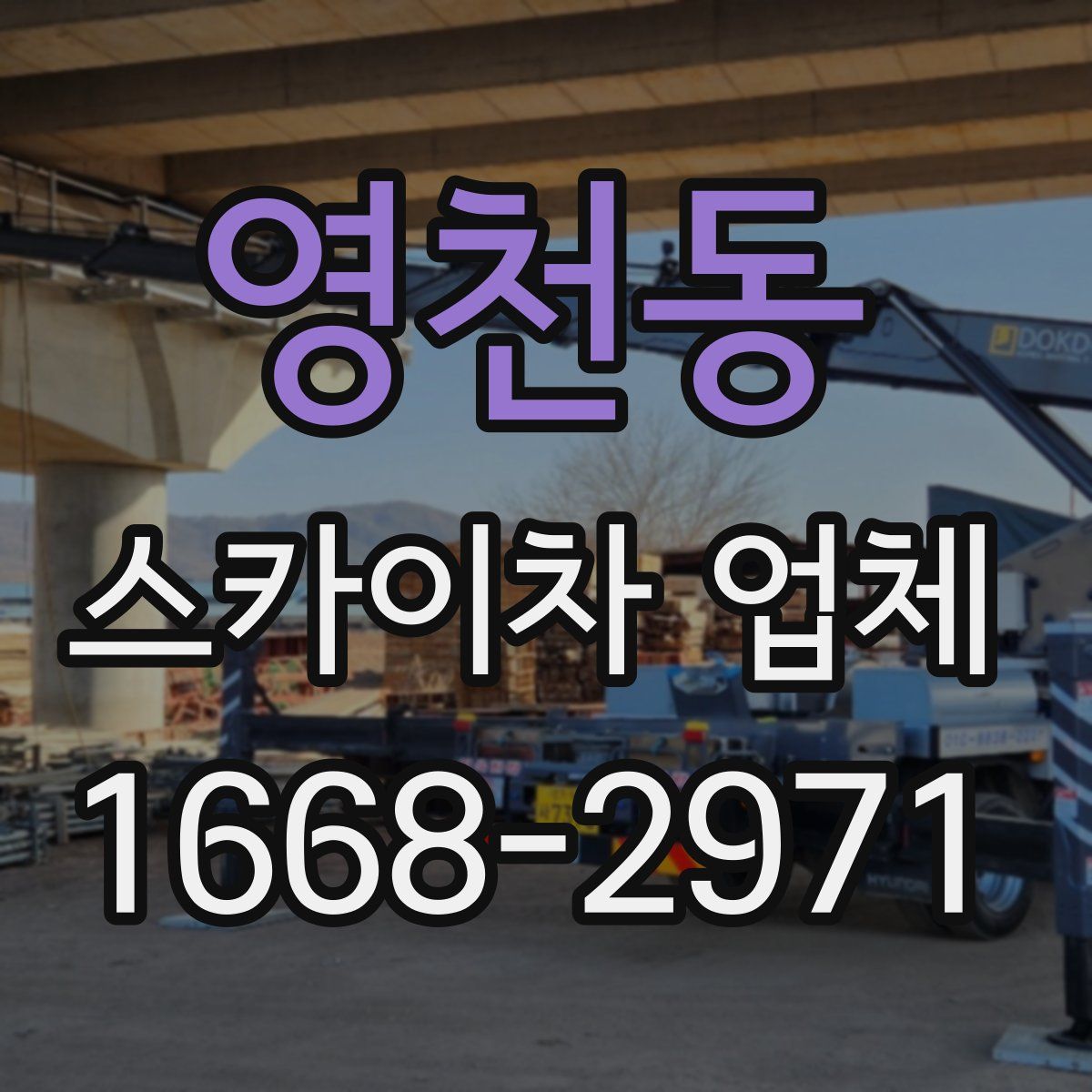 영천동 스카이차 업체