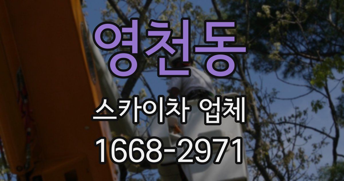 영천동 스카이차 업체