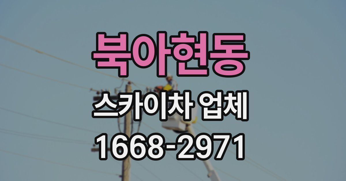 북아현동 스카이차 업체
