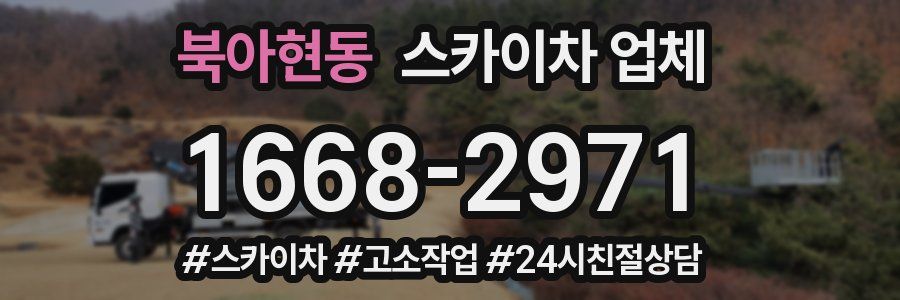 북아현동 스카이차 업체