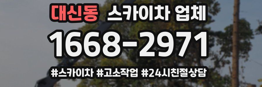 대신동 스카이차 업체
