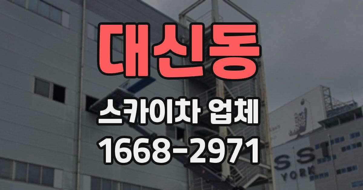 대신동 스카이차 업체