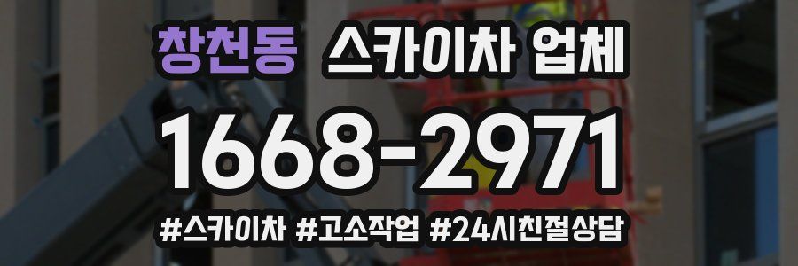 창천동 스카이차 업체