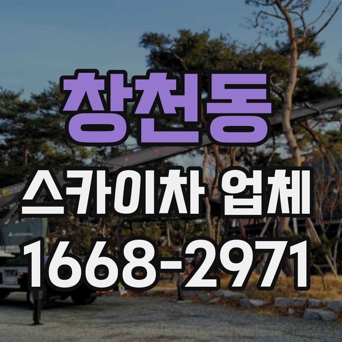 창천동 스카이차 업체