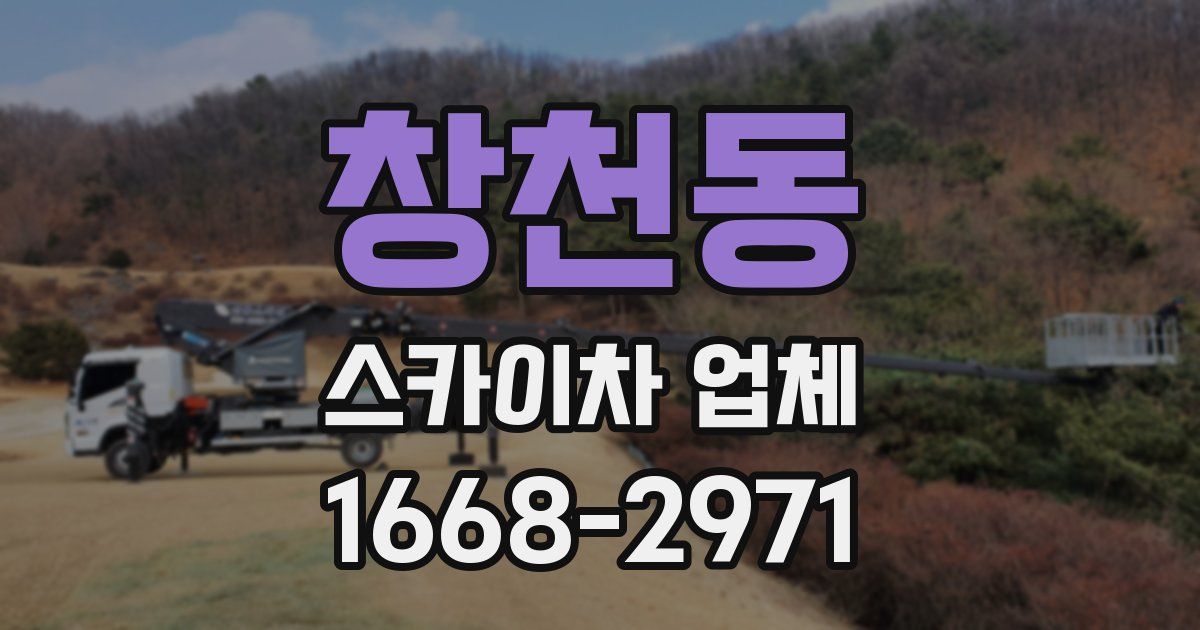 창천동 스카이차 업체