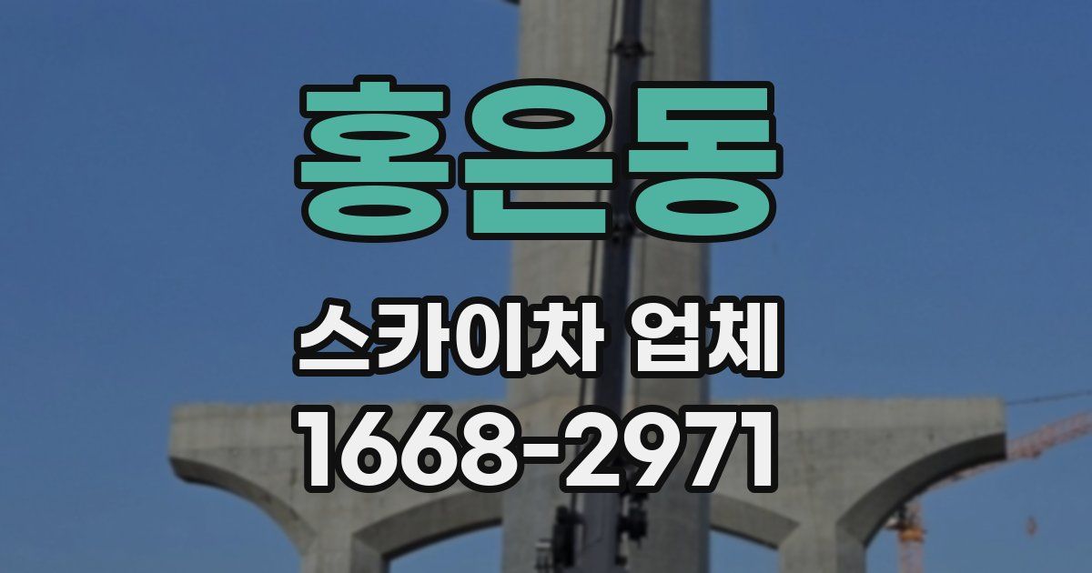 홍은동 스카이차 업체