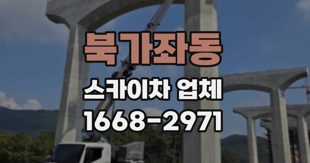 북가좌동 스카이차 업체
