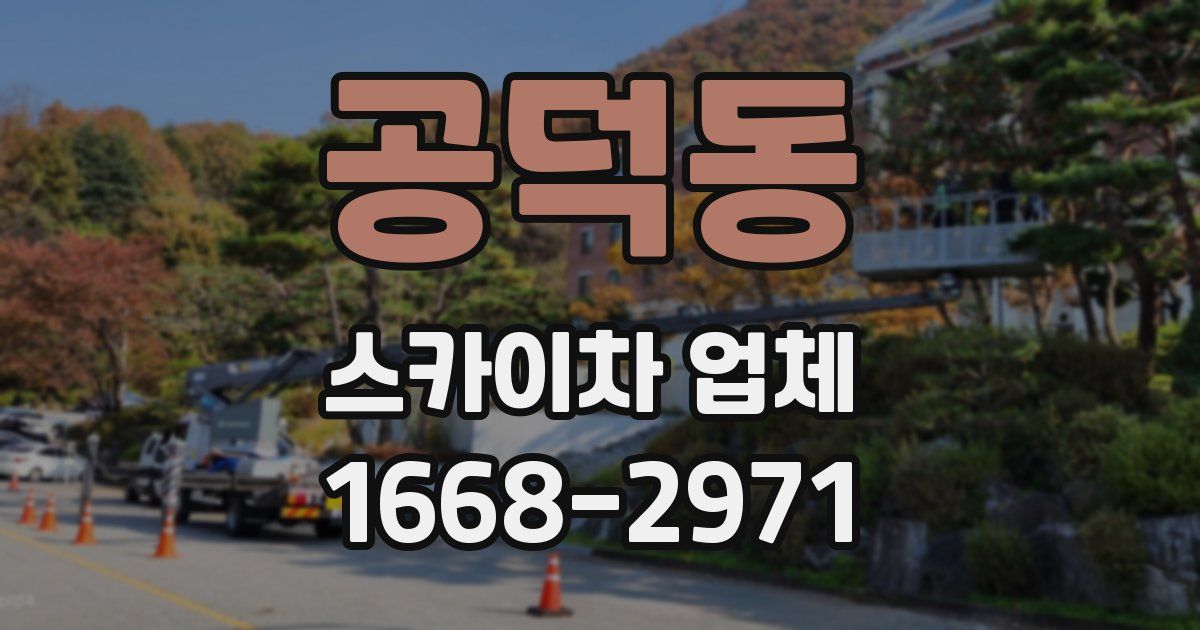 공덕동 스카이차 업체