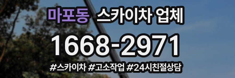 마포동 스카이차 업체