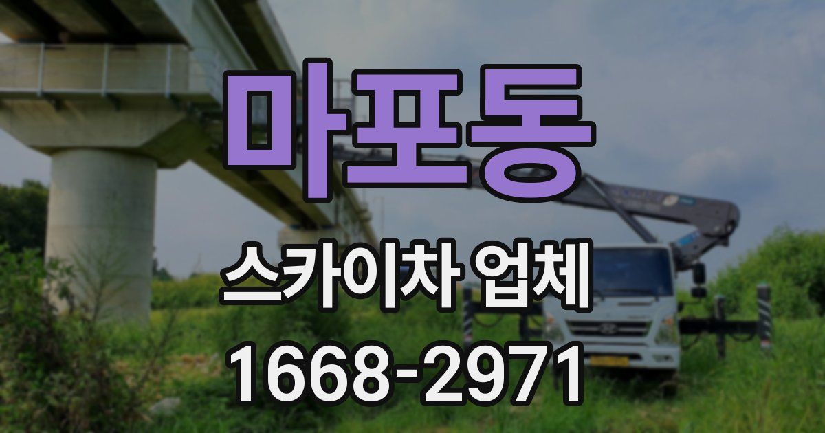 마포동 스카이차 업체