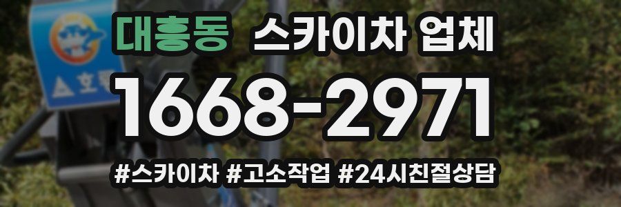 대흥동 스카이차 업체