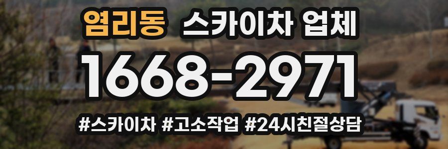 염리동 스카이차 업체
