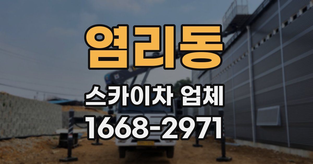 염리동 스카이차 업체
