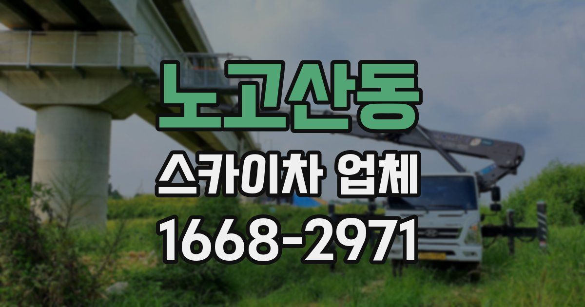 노고산동 스카이차 업체