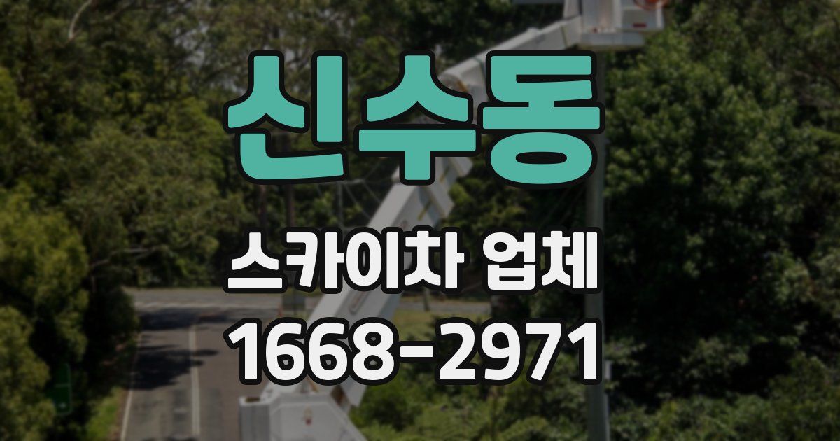 신수동 스카이차 업체