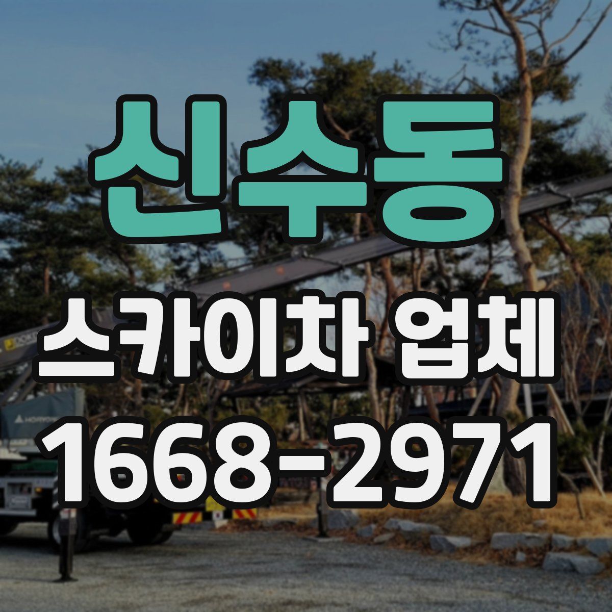 신수동 스카이차 업체