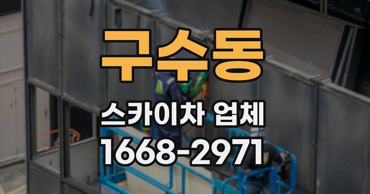 구수동 스카이차 업체