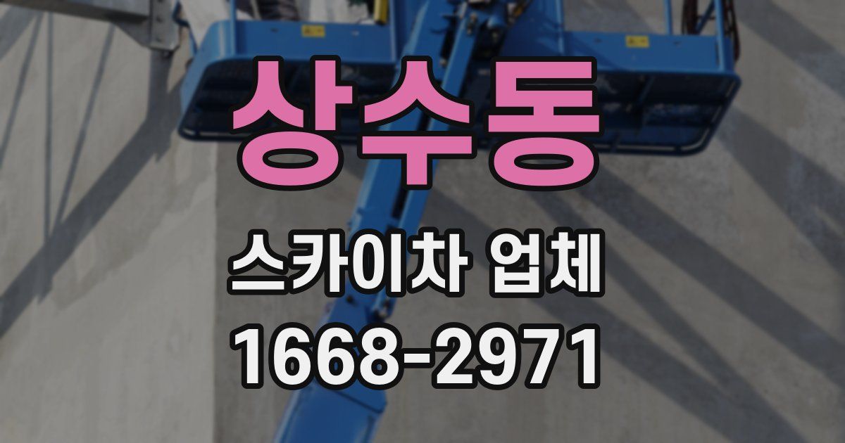 상수동 스카이차 업체