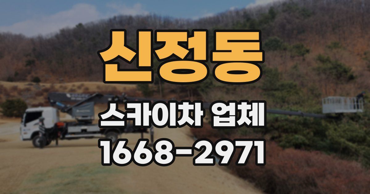 신정동 스카이차 업체