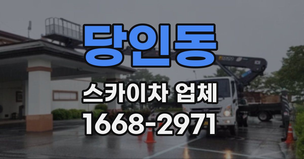 당인동 스카이차 업체
