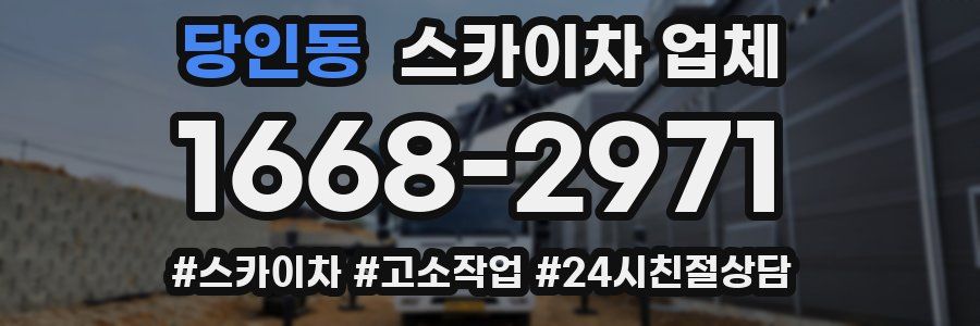 당인동 스카이차 업체