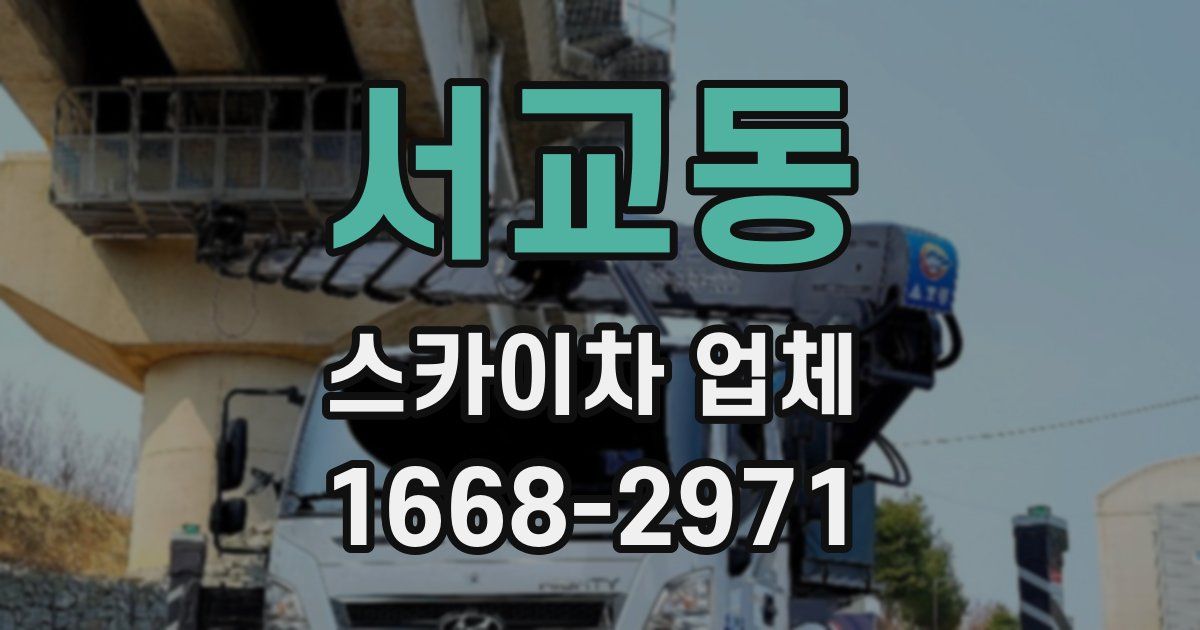 서교동 스카이차 업체