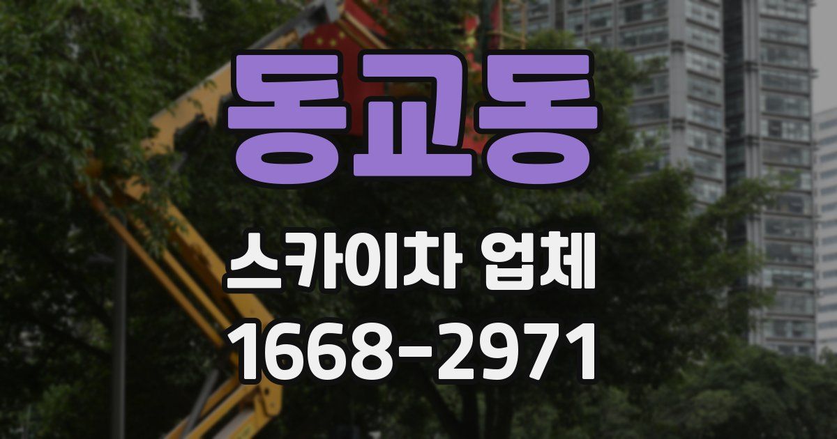 동교동 스카이차 업체
