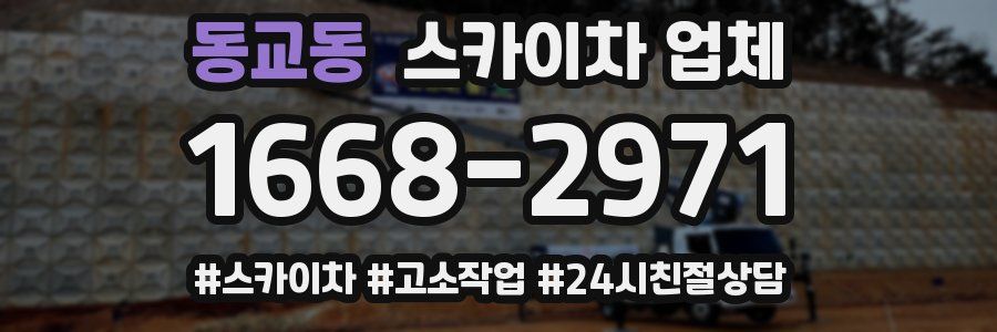 동교동 스카이차 업체