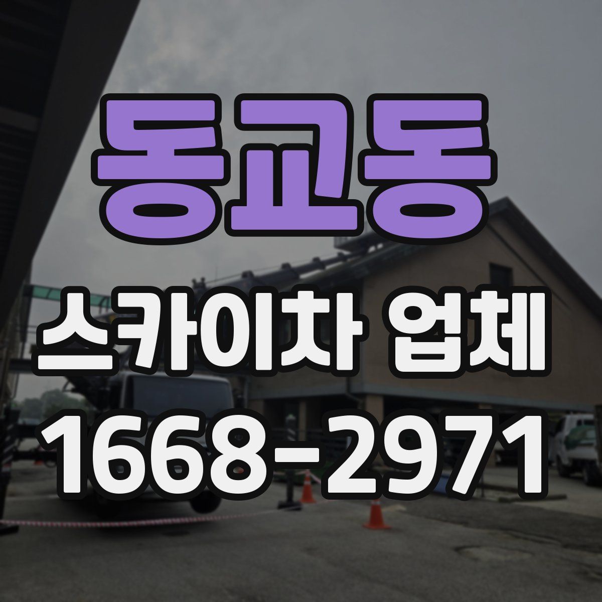 동교동 스카이차 업체