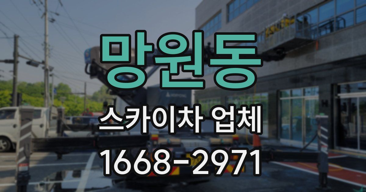 망원동 스카이차 업체
