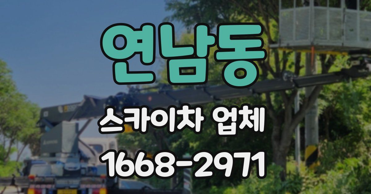 연남동 스카이차 업체