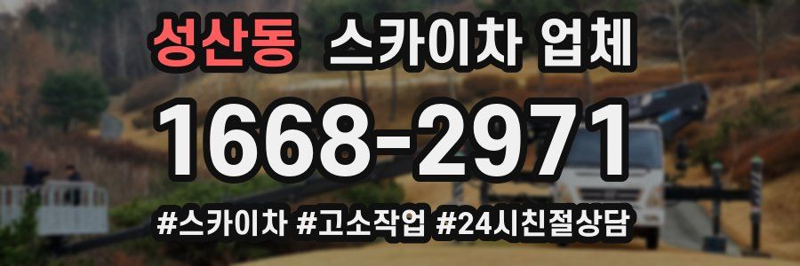 성산동 스카이차 업체