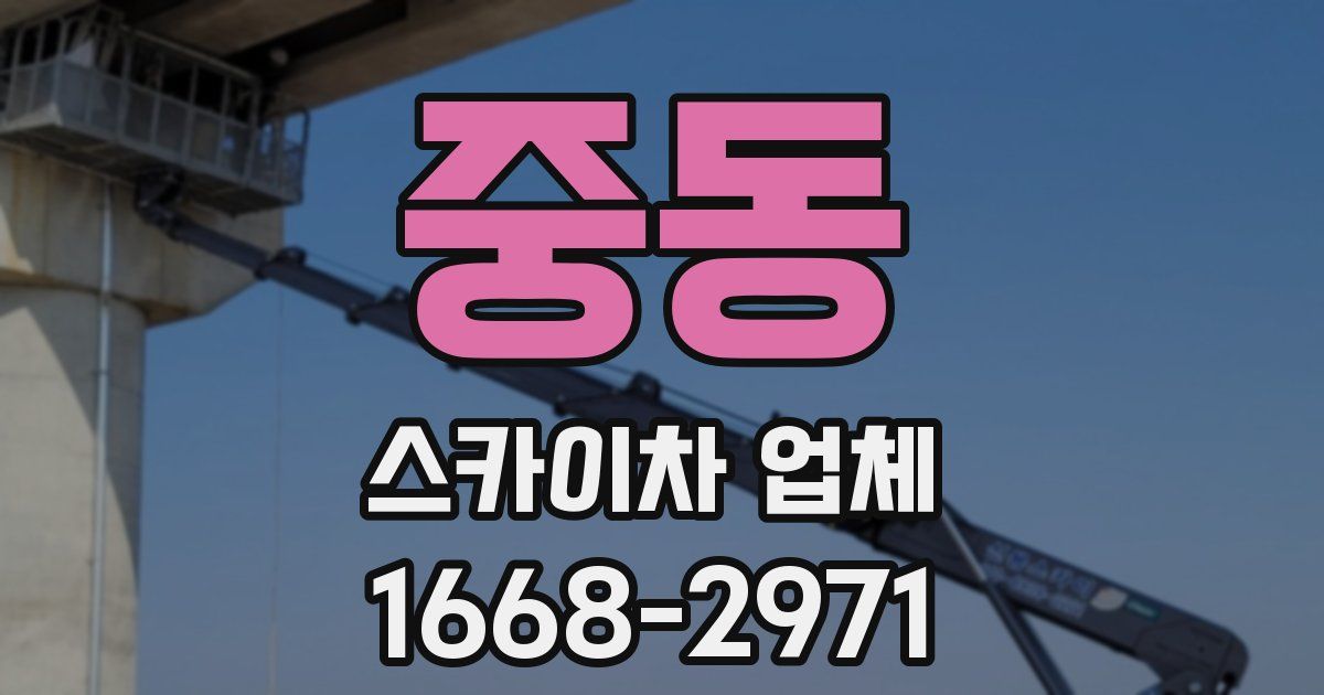 중동 스카이차 업체