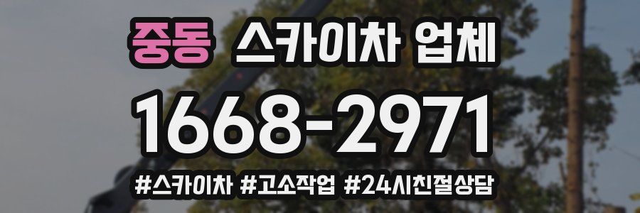 중동 스카이차 업체