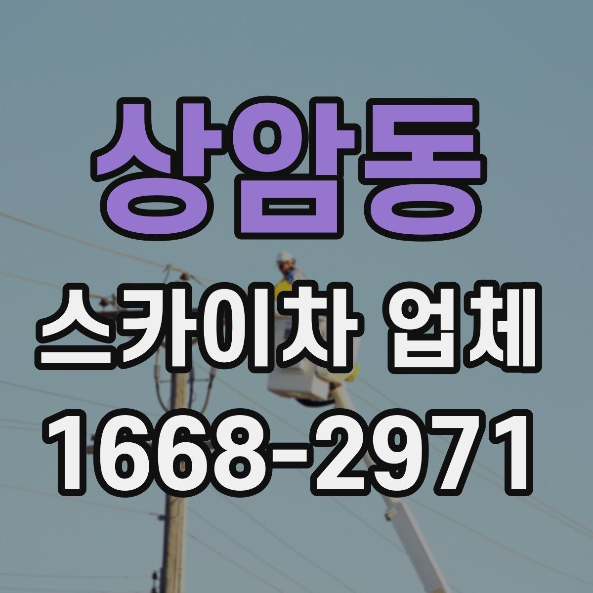 상암동 스카이차 업체